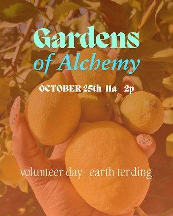 GARDENS OF ALCHEMY 